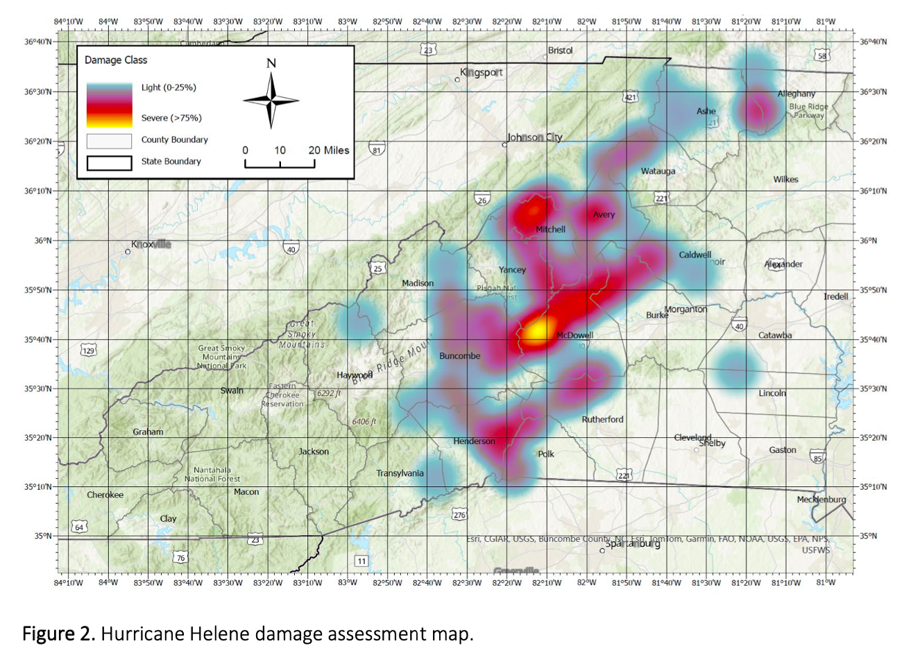 Detailed Forest Damage