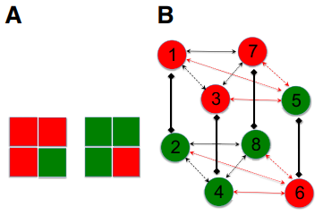 Quadrupedal Gaits Symmetry Model